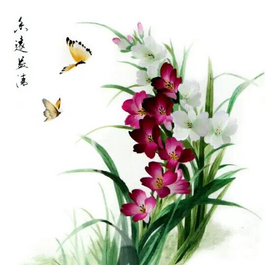 Su Embroidery Embroidery Diy Beginology Kit Orchid Butterfly Plot Hand Embroidery Self-Learning Materials Bag 