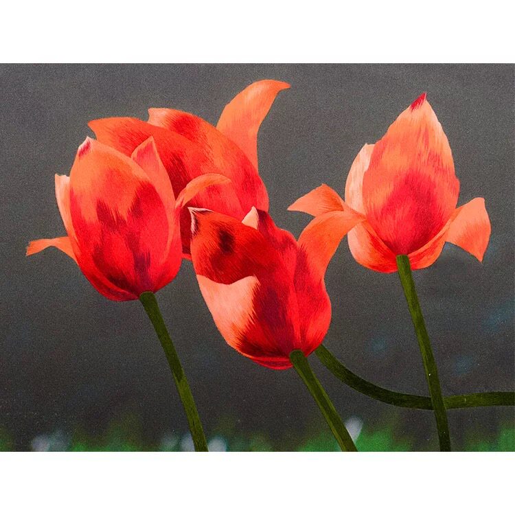 Suzhou embroidery diy beginner kit 0 basic red tulip stitch scanning hand embroidery painting