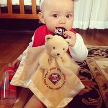 Foreign trade UK single small bear doll baby soothing towel accompanied by sleeping toy double face feel 0-1 years old