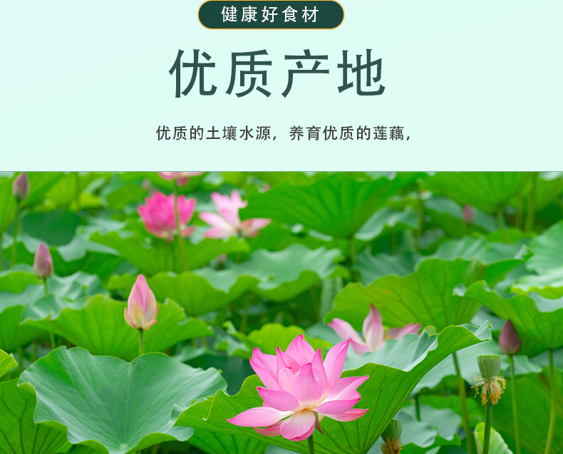 藕粉纯藕粉低脂无糖无添加500g