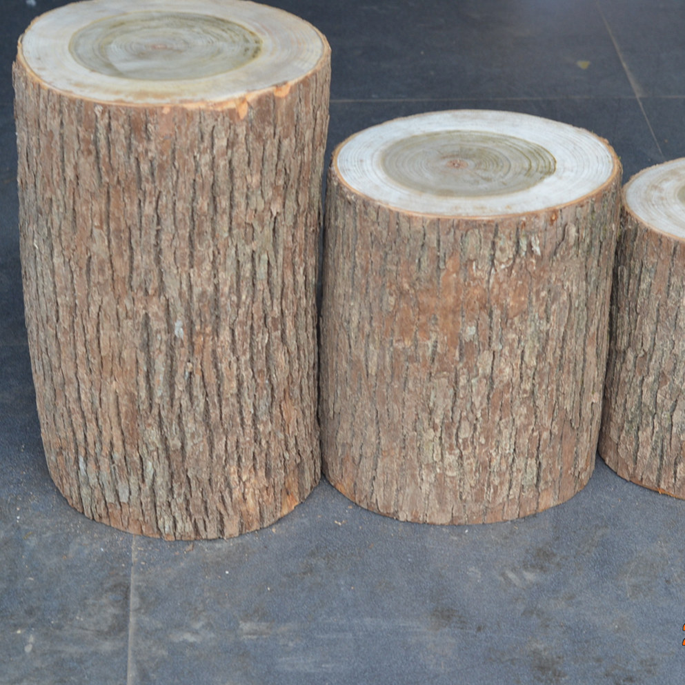 Gỗ long não tự nhiên trụ gỗ Khối gỗ long não với phần cây da nguyên chất rắn nguyên gốc khắc gỗ - Các món ăn khao khát gốc bàn ghế gốc cây xà cừ