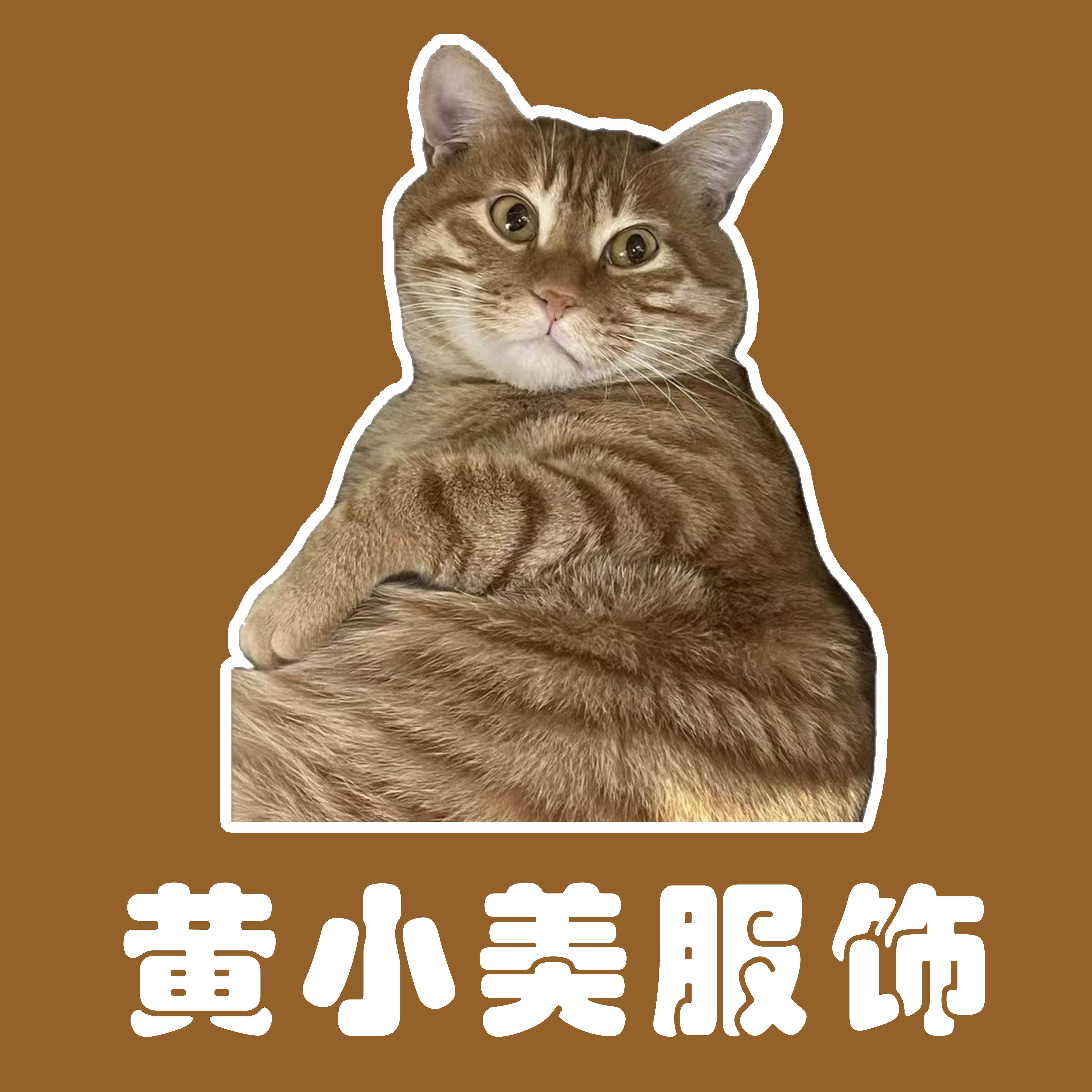 黄小美服饰的LOGO