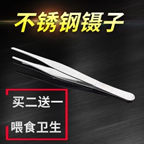 Hot selling stainless steel tweezers thickened tweezers pointed round head with tooth accessories tweezers pet feeder small tweezers clip