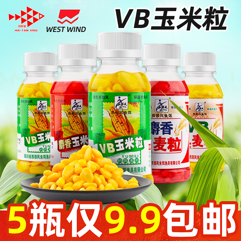 Western Wind bait VB wheat grain corn grain convenient bait crucian carp integrated fishing bait