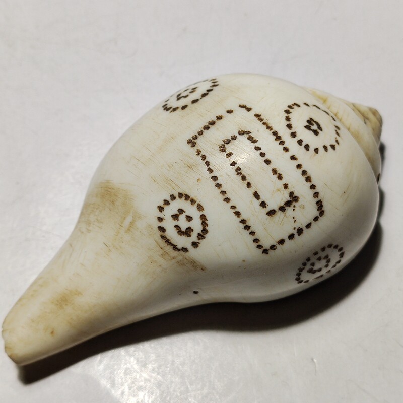 Tibetan Antique Miscellaneous Old Conch Conch Left Conch Ornament Spot Tibetan Buddhist Dharma Instrument