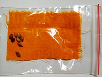 Buddhist collection of goods Lhasa Jokhang Temple Rinpoche Sakyamuni etc.