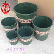 Universal Gallen pot rose potted fleshy flowerpot pp resin flowerpot price reduction promotion