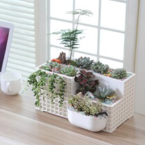 PP resin fleshy combination flowerpot environmentally friendly flowerpot in promotion (without plants)