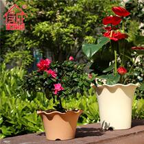 Integrity flower pot plastic 3129 with base 3534 round lace low pot