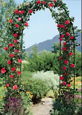 Arch flower rack Wrought iron wedding climbing pergola Road lead shelf vine moon grape loofah