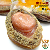 Selected South African dried abalone net abalone seafood dried goods large 5 heads abalone 500 grams dry body beautiful goods meat flavor good taste