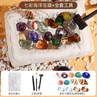 【1 комплект】 красочные морские сокровища