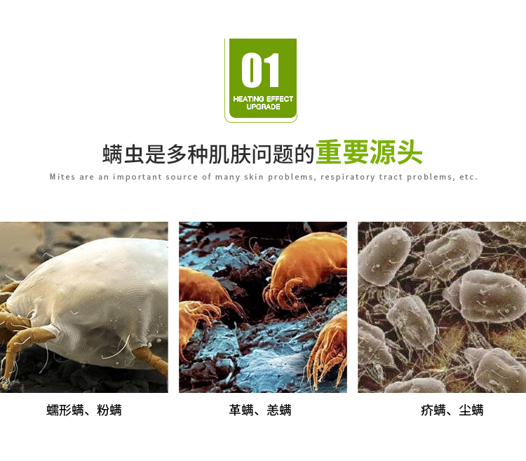 bình xịt muỗi Gói công thức loại bỏ giường, giết côn trùng, mẹ và bé có sẵn bình xịt côn trùng ars