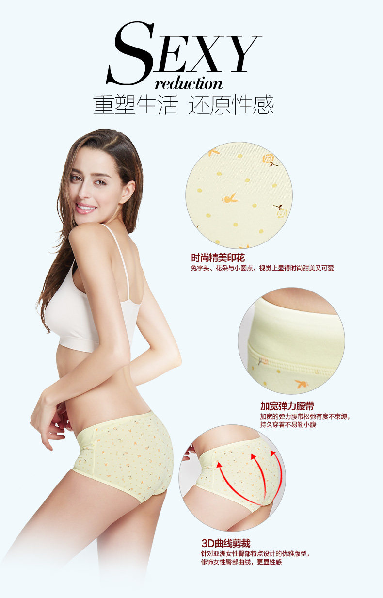 Slip jeunesse PLAYBOY zY5677-4 en coton - Ref 668600 Image 7