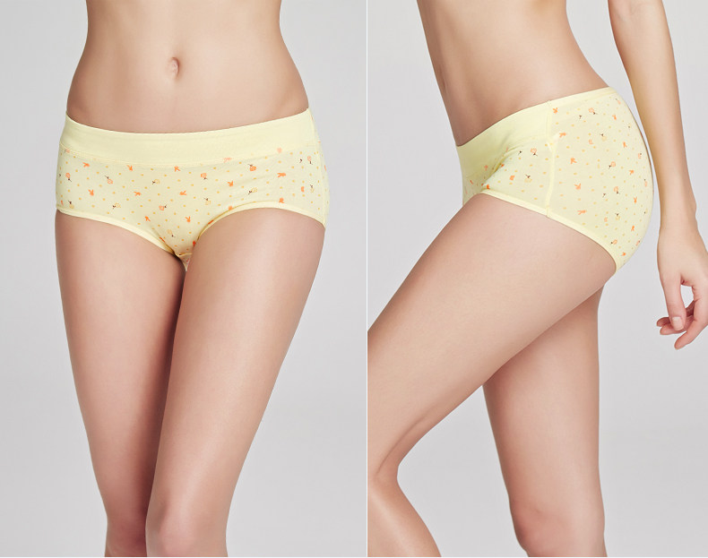 Slip jeunesse PLAYBOY zY5677-4 en coton - Ref 668600 Image 15