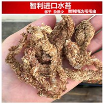 Import of Chilean water Tweed dry water tundra moss Dendrobium Candidum Orchid Butterfly Orchid Carnivora dedicated matrix earth