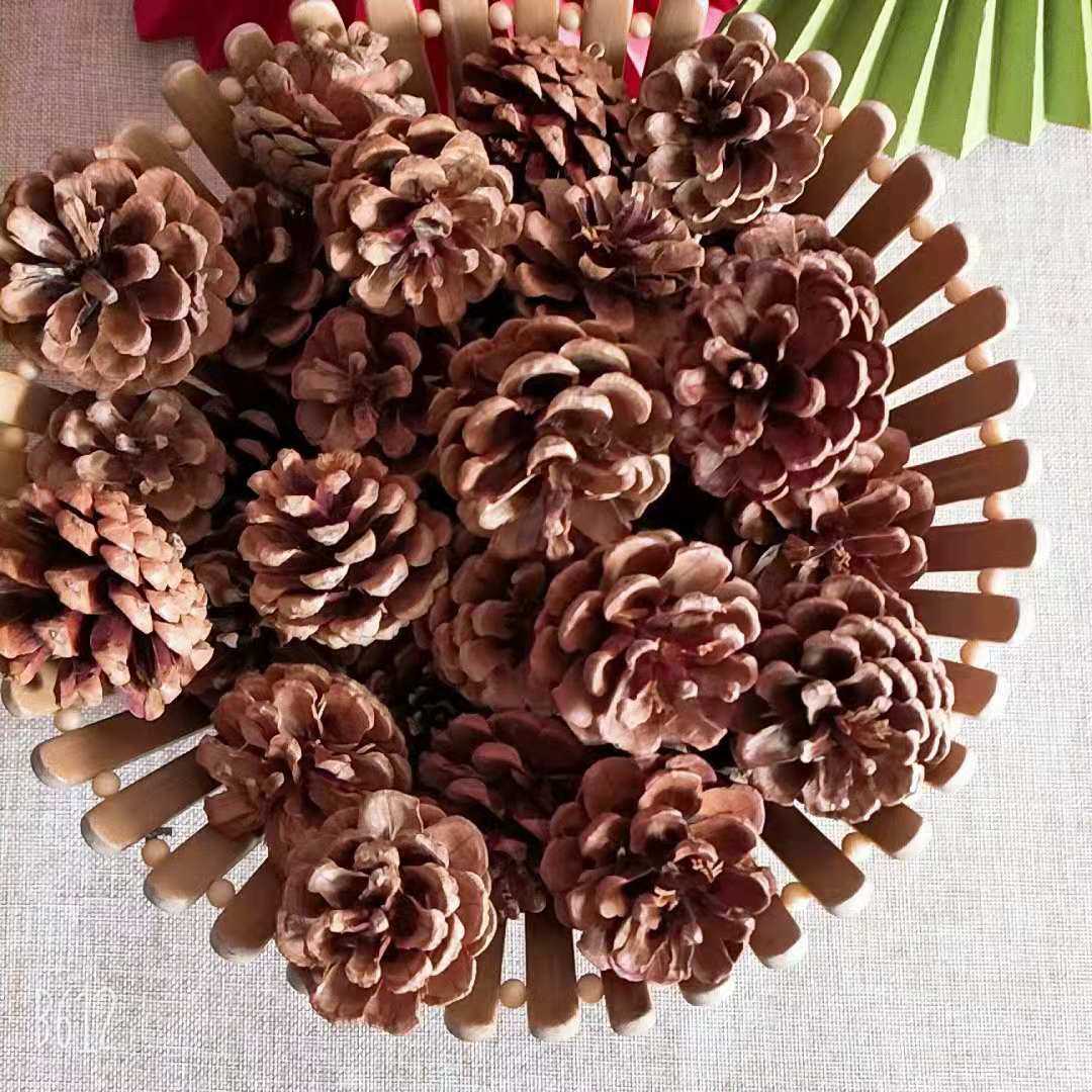 Natural Pine Nuts Natural Pine Ball Kindergarten Jersey Christmas Shooting Props Background Cloth Furnishing Retro Photo Props Hem