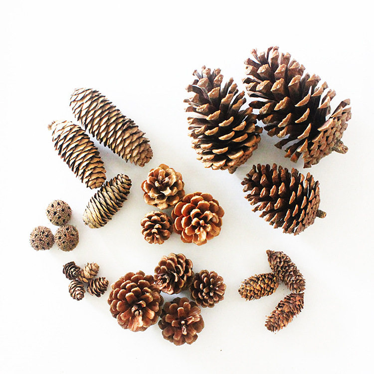 Pine cone Christmas decoration lotus natural dried flowers Kindergarten dry branches Mori handmade diy material package pine cone