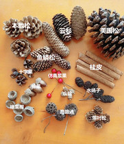 Natural Pine Nuts Dry Flower Decoration Handmade Mattball Christmas Pine Nuts Dry Flowers Shooting Props Diy Material Suits