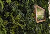 Lawn simulation plant wall lawn green plant green wall fake lawn artificial turf plastic grass Milan eucalyptus grass