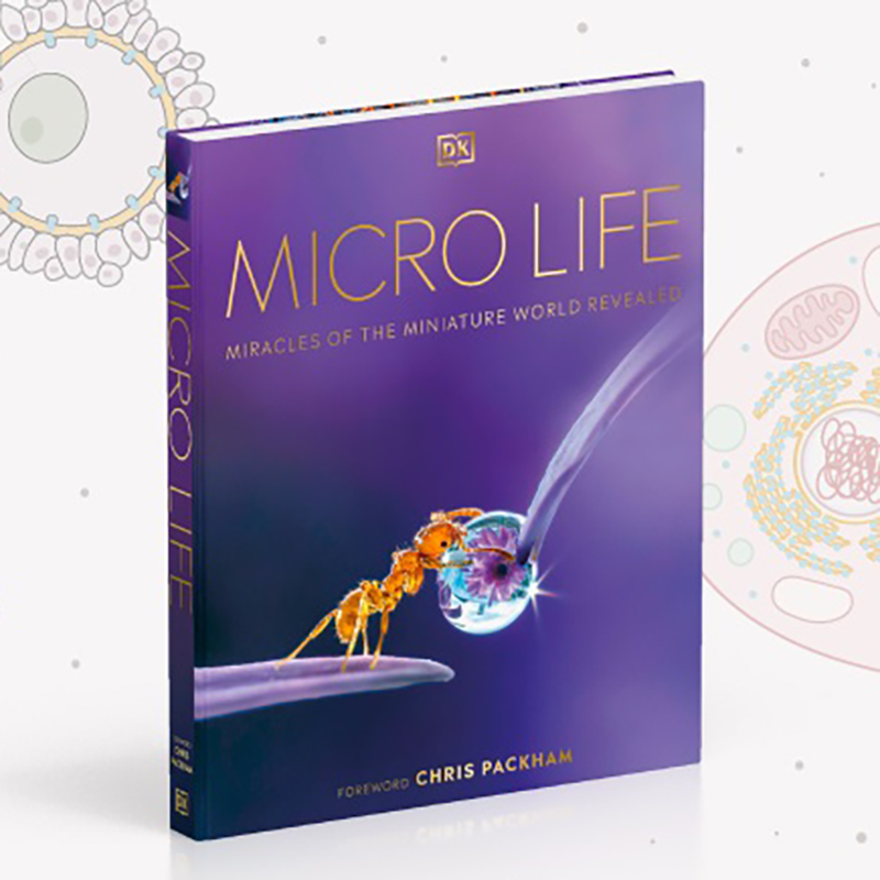 洋書 MICRO LIFE DK Micro Life: Miracles of the Miniature World Revealed (DK