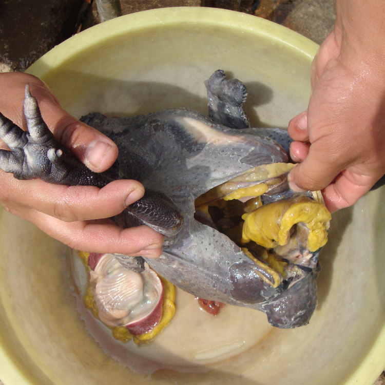 Zhengzong Shandong farmhouse Scattered Breeding Uosi Chicken Grass Chicken Broiler Chicken Muli Chicken Mulus Chicken Moon Chicken Now Killing Preservation 1 Catty Price