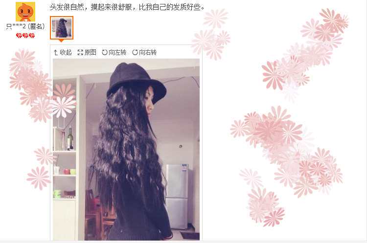 Perruque Les cheveux longs - Ref 2609817 Image 27