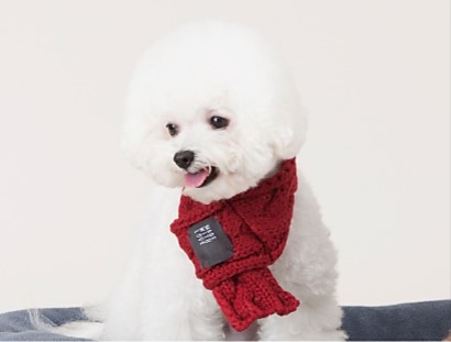 Dog khăn bib vật nuôi cung cấp đồ trang sức quần áo Teddy luật schnauzer - Quần áo & phụ kiện thú cưng quan ao cho meo
