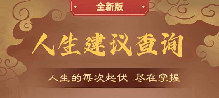 人生建议查询