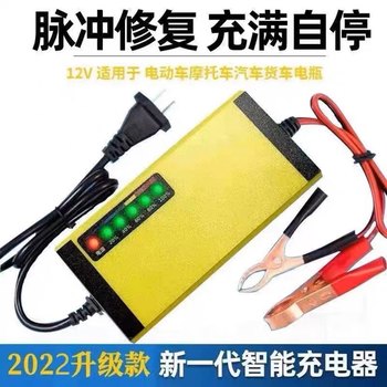 German upgraded version 12v scooter battery charger 12/20ah battery repair charger dry water