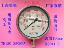 Ultra-high pressure gauge hydraulic seismic oil pressure shock-resistant high pressure gauge YN150 250MPA M20 * 1 5