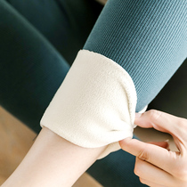 Cotton threaded high waist fat leggings women wear winter plus velvet thickened fat plus size fat mm200 kg