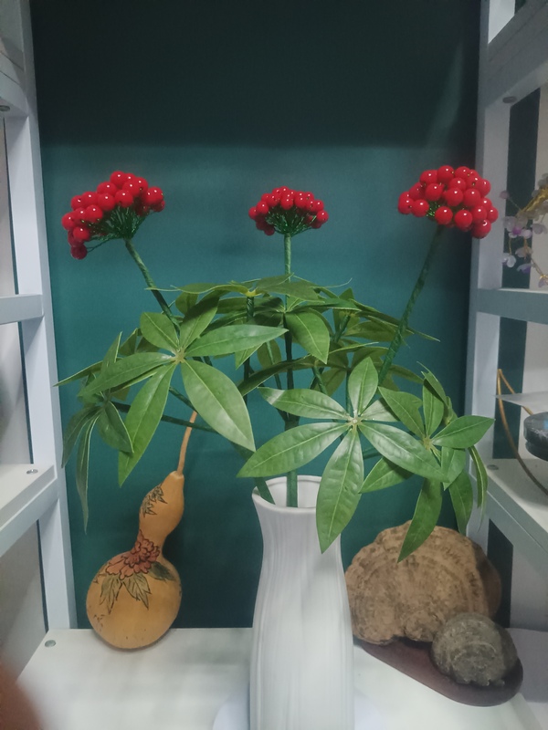 Ginseng Flower, Panax Notoginseng (三七), DIY Artificial Flower Finished Product, Indoor Living Room, Office Desktop, Imitation Green Plant, Flower Bonsai Background Ginseng Flower, Panax Notoginseng (三七), DIY Artificial Flower Finished Product, Indoor Living Room, Office Desktop, Imitation Green Plant, Flower Bonsai Background