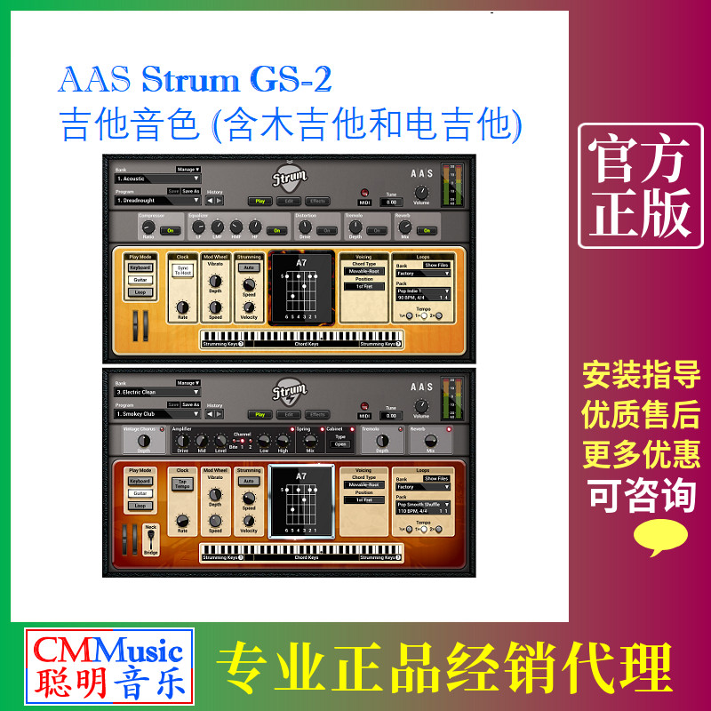 AAS Strum GS-2 Guitar Sound Acoustic Guitar Electric Guitar Plug-in Genuine Arranger Production