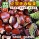 Castaña Qianxi auténtica, castañas frescas crudas sin cáscara, granja Yanshan, aperitivos especiales Tangshan, bolsas de castañas de árbol viejo, 2025 auténticas