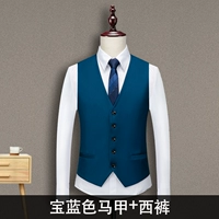 Синий жилет, штаны