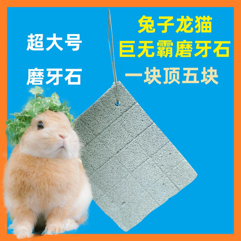 Rabbit Dragon Cat Squirrel Oversize Durable Grindstone Pet Tonic calcium mineral grinding Toys