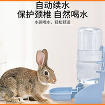 Rabbit dragon cat Dutch pig water bowl automatic muted drinking water jug rabbit with scale large capacity special water bowl