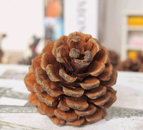 Pine ball pine cone pine cone decoration photography photo photo handmade diy dry flower props Christmas pendant creative