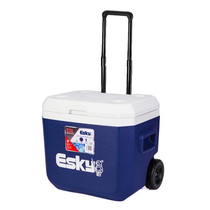 Esky incubator 52L Rod incubator refrigerator car incubator camping cold chain send 2 ice bricks