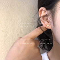 Iflippedheehee wearing mini gold butterfly earrings ~