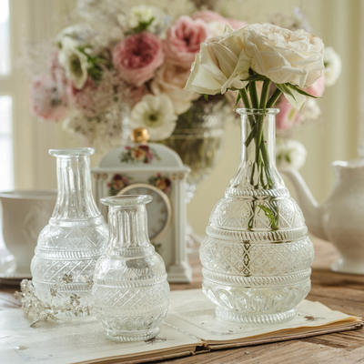 Exquisite retro and light luxury embossed French glass photography props, hydroponic dried flower vases for home bedside