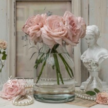 Nordic INS Simple European and American style pastoral transparent glass water culture dried flowers bouquet inserted large diameter vase Home furnishing