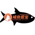 咸鱼爱宠生活馆