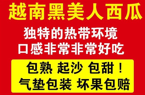 越南黑美人西瓜水果新鲜包邮当季薄皮进口大