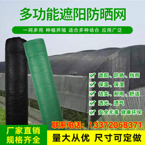 Sunshade net sunscreen net cover Earth net encryption thickened vegetable strawberry greenhouse shade net insulated sun net breeding net