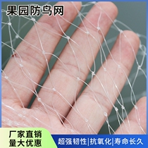 Agricultural strawberry two side vent bird net grape orchard watermelon greenhouse mouth bird fruit tree protective net
