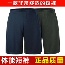 Physical shorts for men summer five-pants hide blue outdoor running pants for training pants for speed dry body training pants