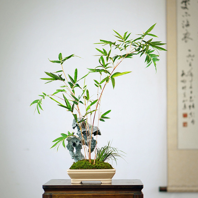 Mulan Ink Painting Stone Red Bamboo Bonscenery in Taihu Lake in the South of the Yangtze River