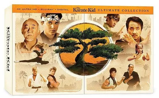 功夫梦:融合之道2025剧照3